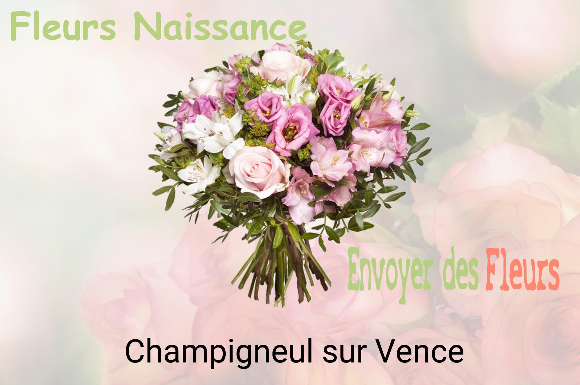 Bouquet de fleurs de naissance livré à Champigneul-sur-Vence